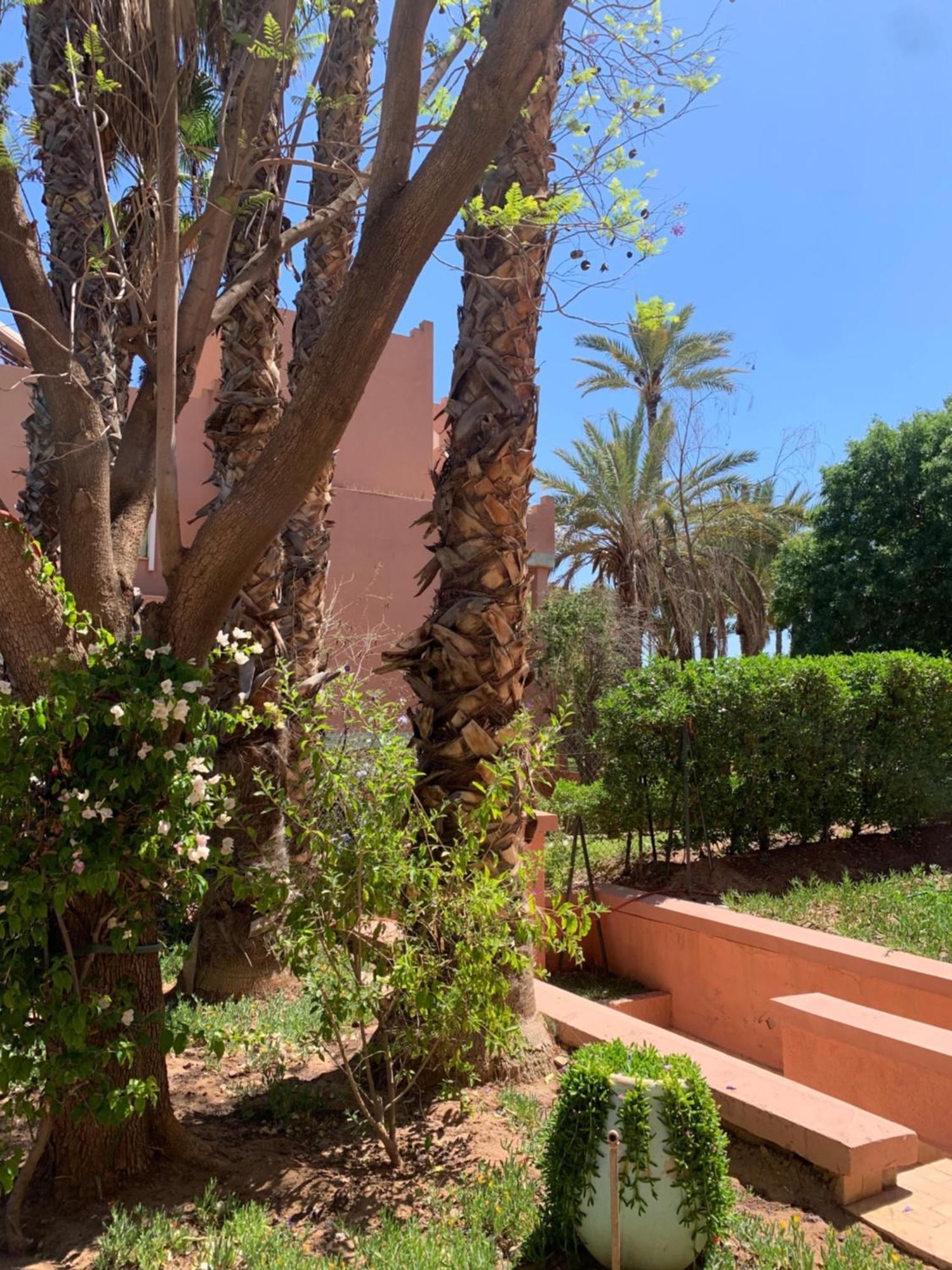 מרקש Villa Avec Piscine Privatisee A La Palmeraie מראה חיצוני תמונה