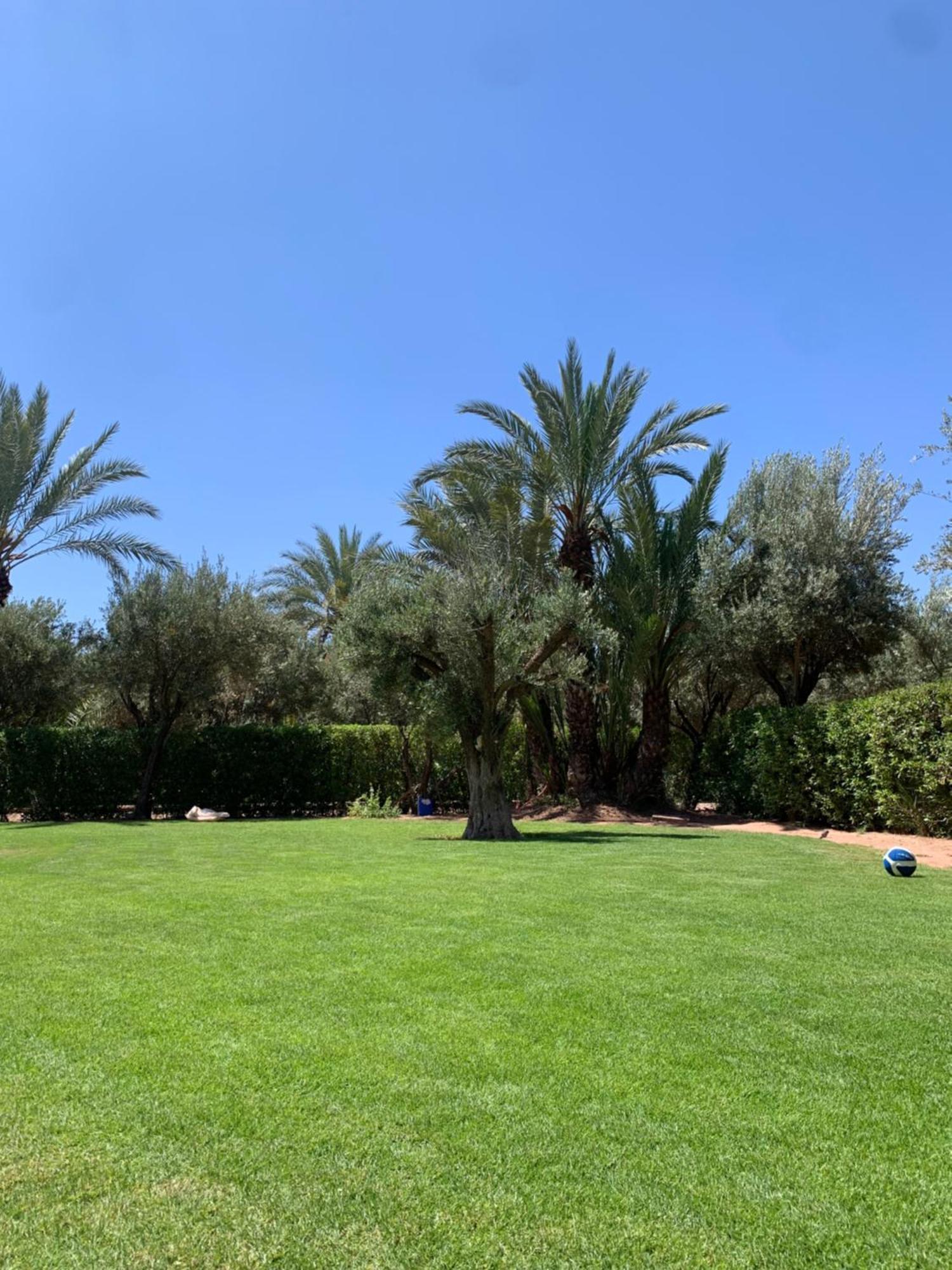 מרקש Villa Avec Piscine Privatisee A La Palmeraie מראה חיצוני תמונה