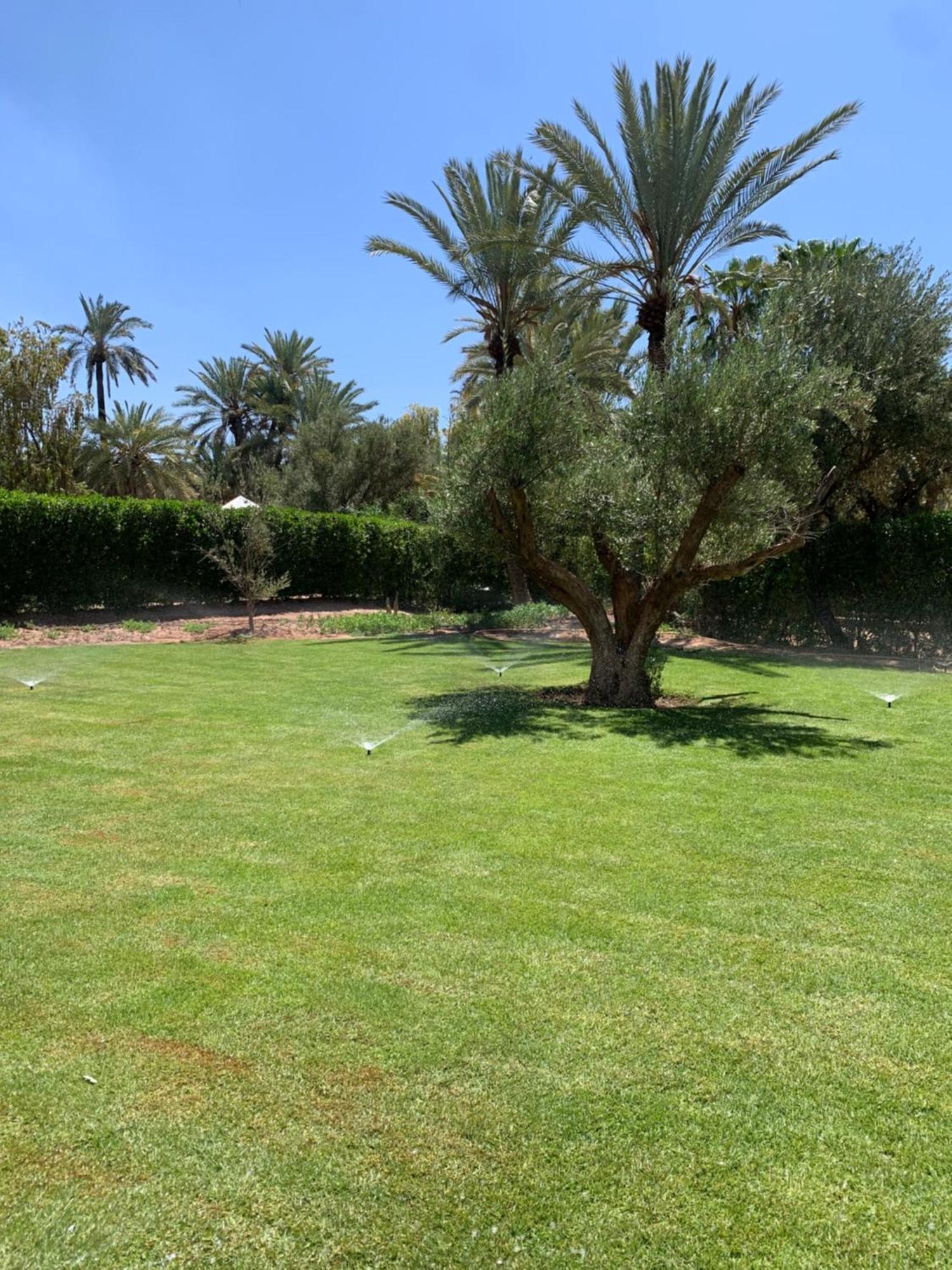 מרקש Villa Avec Piscine Privatisee A La Palmeraie מראה חיצוני תמונה