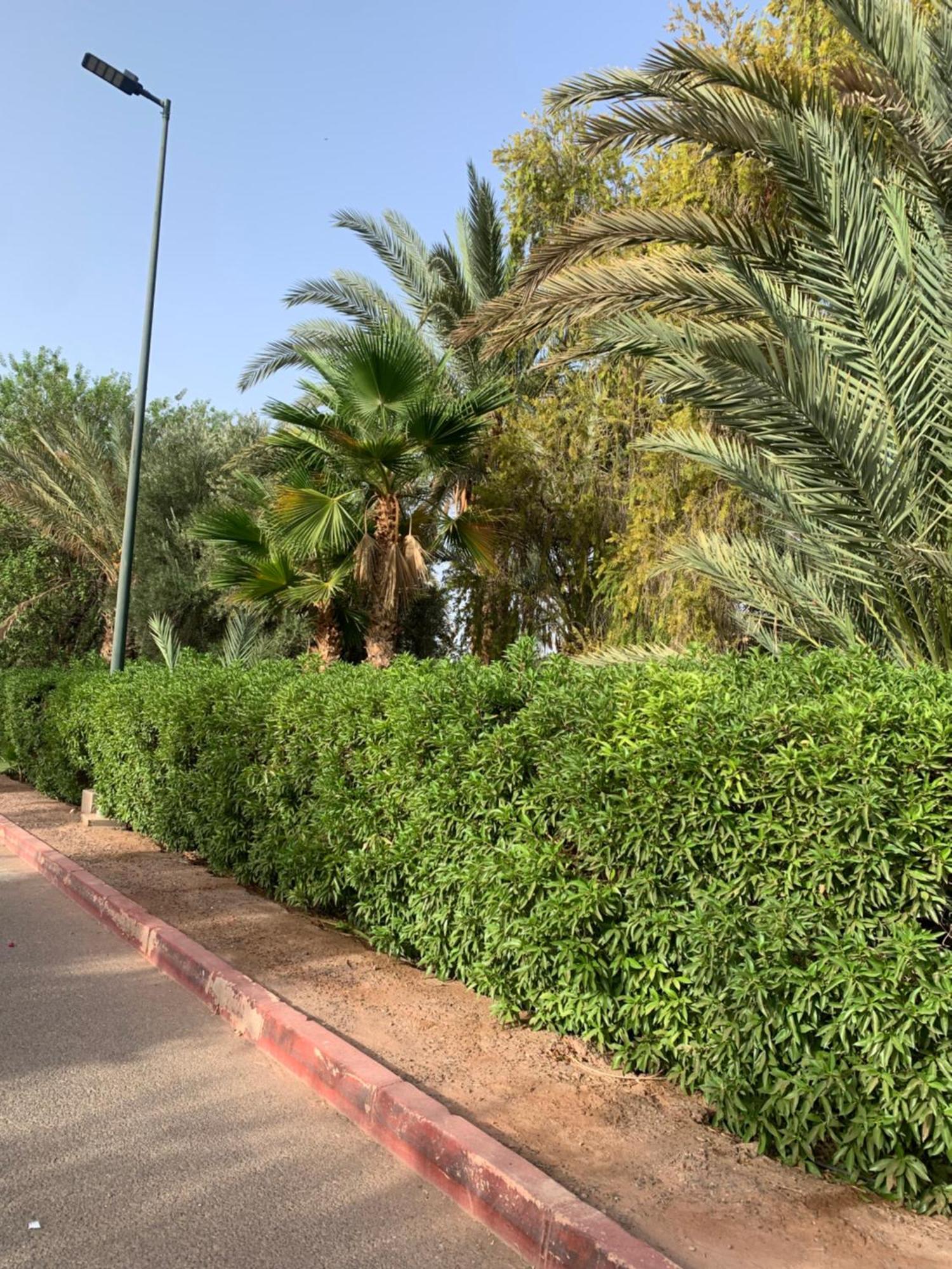 מרקש Villa Avec Piscine Privatisee A La Palmeraie מראה חיצוני תמונה